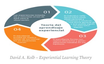 Ciclo del aprendizaje