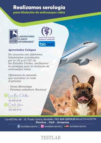 Documentación para viajar con mascotas